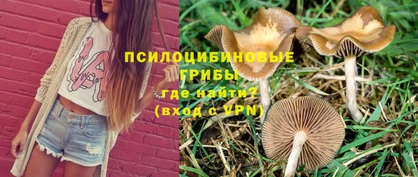герыч Абаза