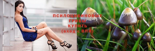 эйфоретик Алексин