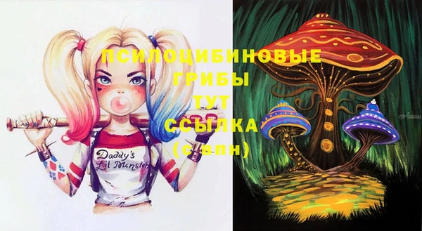 герыч Абаза