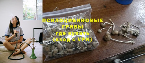эйфоретик Алексин