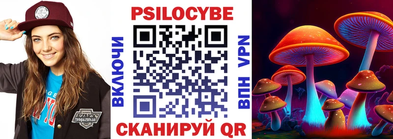 Галлюциногенные грибы Psilocybe  Судогда 